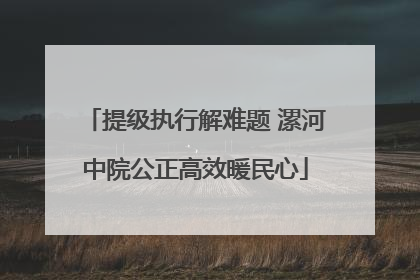 提级执行解难题 漯河中院公正高效暖民心