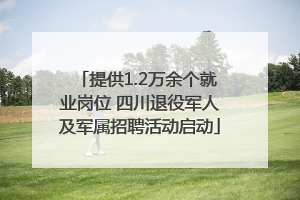 提供1.2万余个就业岗位 四川退役军人及军属招聘活动启动