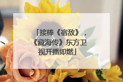 接棒《宿敌》，《藏海传》东方卫视开播即燃