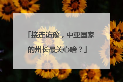 接连访豫，中亚国家的州长最关心啥？