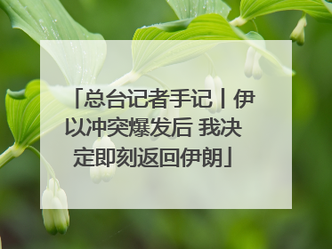 总台记者手记丨伊以冲突爆发后 我决定即刻返回伊朗