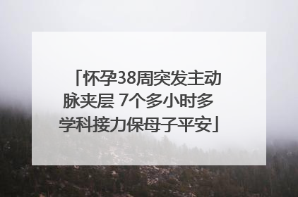 怀孕38周突发主动脉夹层 7个多小时多学科接力保母子平安