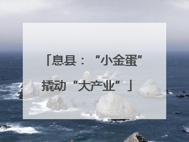 息县：“小金蛋”撬动“大产业”