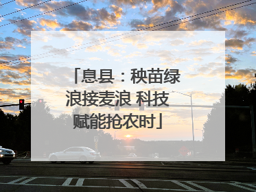 息县：秧苗绿浪接麦浪 科技赋能抢农时