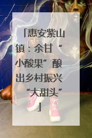 惠安紫山镇：余甘“小酸果”酿出乡村振兴“大甜头”