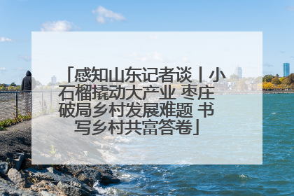 感知山东记者谈丨小石榴撬动大产业 枣庄破局乡村发展难题 书写乡村共富答卷
