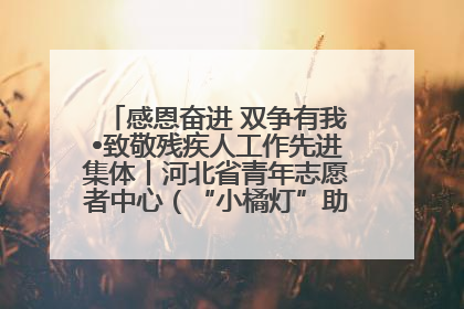 感恩奋进 双争有我•致敬残疾人工作先进集体丨河北省青年志愿者中心（“小橘灯”助残接力计划实施团队）：用温暖陪伴，守护特殊孩子成长