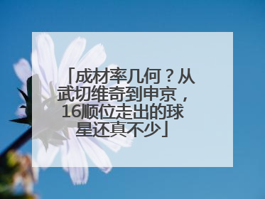 成材率几何？从武切维奇到申京，16顺位走出的球星还真不少