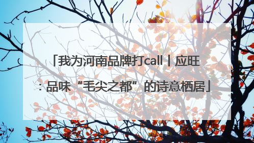 我为河南品牌打call丨应旺：品味“毛尖之都”的诗意栖居