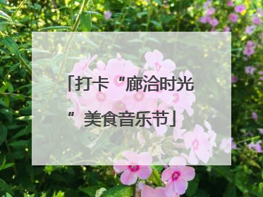 打卡“廊洽时光”美食音乐节