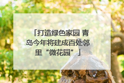 打造绿色家园 青岛今年将建成百处邻里“微花园”