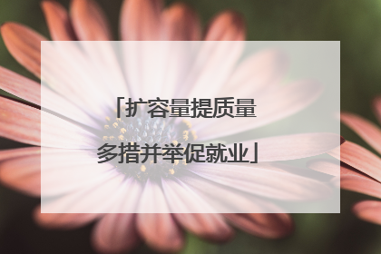 扩容量提质量 多措并举促就业