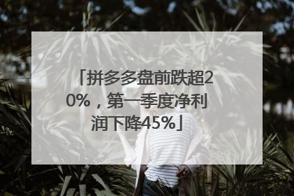 拼多多盘前跌超20%，第一季度净利润下降45%