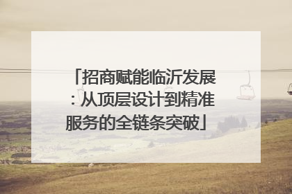 招商赋能临沂发展：从顶层设计到精准服务的全链条突破