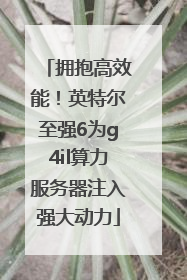 拥抱高效能！英特尔至强6为g4il算力服务器注入强大动力