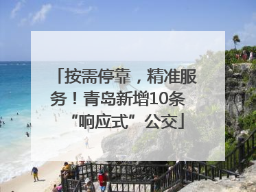 按需停靠，精准服务！青岛新增10条“响应式”公交