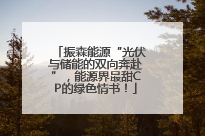 振森能源“光伏与储能的双向奔赴”，能源界最甜CP的绿色情书！