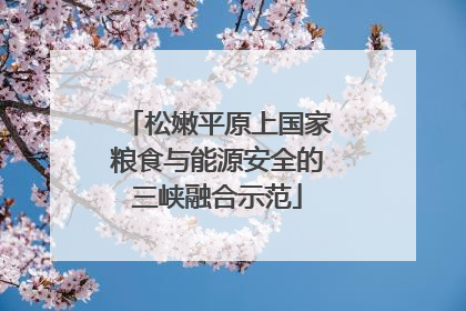 松嫩平原上国家粮食与能源安全的三峡融合示范