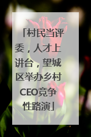 村民当评委，人才上讲台，望城区举办乡村CEO竞争性路演