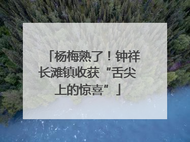 杨梅熟了！钟祥长滩镇收获“舌尖上的惊喜”