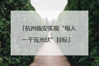 杭州临安实现“每人一千瓦光伏”目标