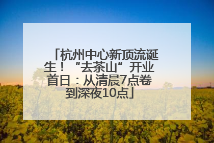 杭州中心新顶流诞生！“去茶山”开业首日：从清晨7点卷到深夜10点