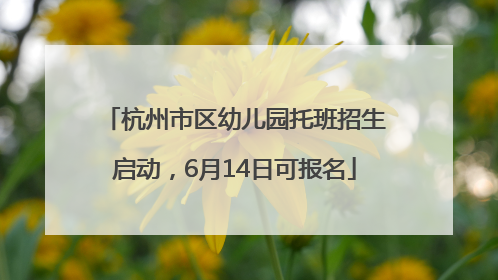 杭州市区幼儿园托班招生启动，6月14日可报名
