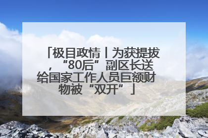 极目政情丨为获提拔，“80后”副区长送给国家工作人员巨额财物被“双开”