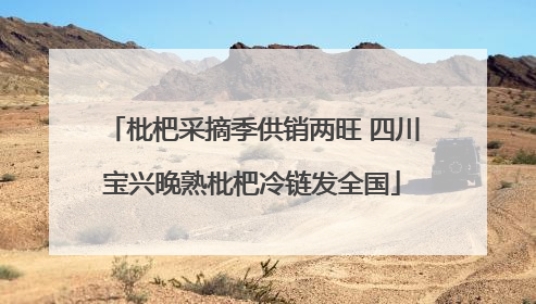 枇杷采摘季供销两旺 四川宝兴晚熟枇杷冷链发全国