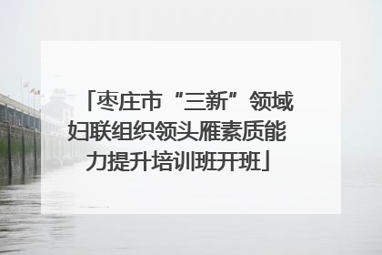 枣庄市“三新”领域妇联组织领头雁素质能力提升培训班开班