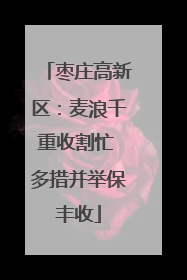 枣庄高新区：麦浪千重收割忙 多措并举保丰收