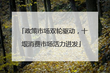政策市场双轮驱动，十堰消费市场活力迸发