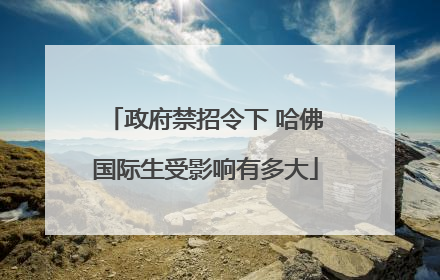 政府禁招令下 哈佛国际生受影响有多大