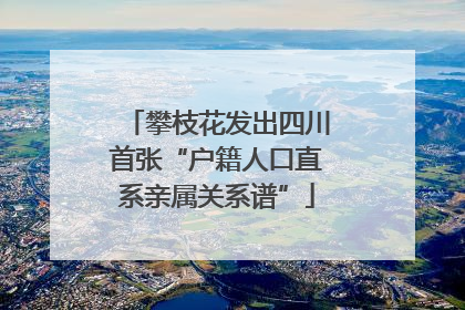 攀枝花发出四川首张“户籍人口直系亲属关系谱”