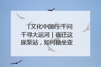 文化中国行·千问千寻大运河｜宿迁这座泵站，如何稳坐亚洲第一宝座？