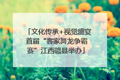 文化传承+视觉盛宴 首届“客家舞龙争霸赛”江西赣县举办