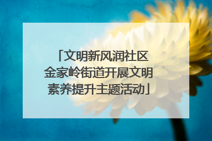 文明新风润社区 金家岭街道开展文明素养提升主题活动