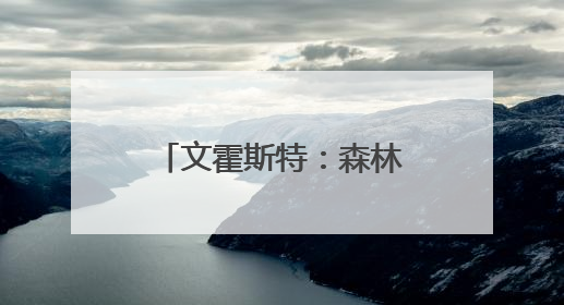 文霍斯特：森林狼在截止日前非常认真地想要交易得到杜兰特