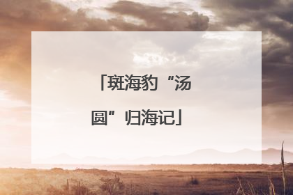 斑海豹“汤圆”归海记