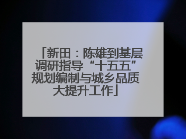 新田：陈雄到基层调研指导“十五五”规划编制与城乡品质大提升工作