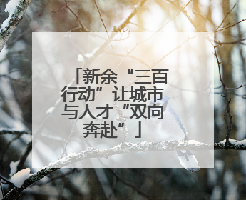 新余“三百行动”让城市与人才“双向奔赴”