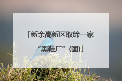 新余高新区取缔一家“黑鞋厂”(图)