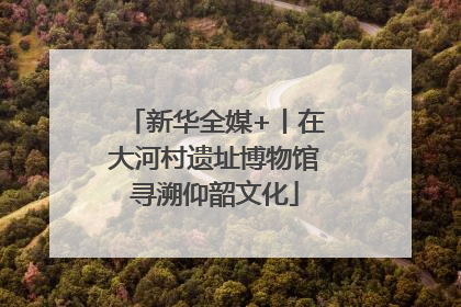 新华全媒+丨在大河村遗址博物馆寻溯仰韶文化