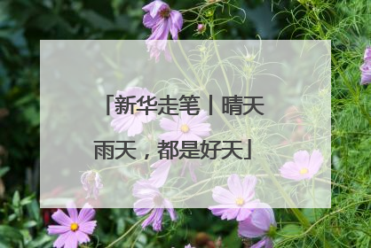 新华走笔丨晴天雨天，都是好天