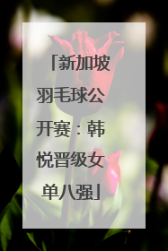 新加坡羽毛球公开赛：韩悦晋级女单八强