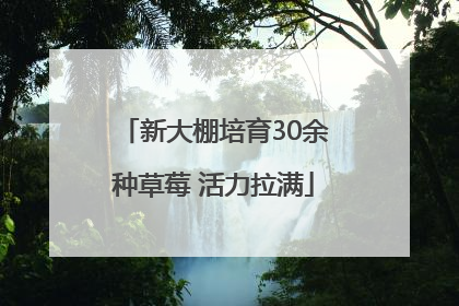 新大棚培育30余种草莓 活力拉满
