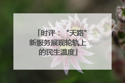 时评：“天路”新服务展现轮轨上的民生温度