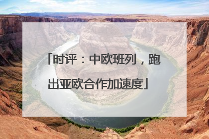 时评：中欧班列，跑出亚欧合作加速度