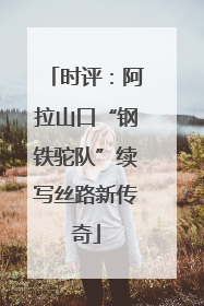 时评：阿拉山口“钢铁驼队”续写丝路新传奇