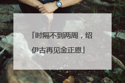 时隔不到两周，绍伊古再见金正恩